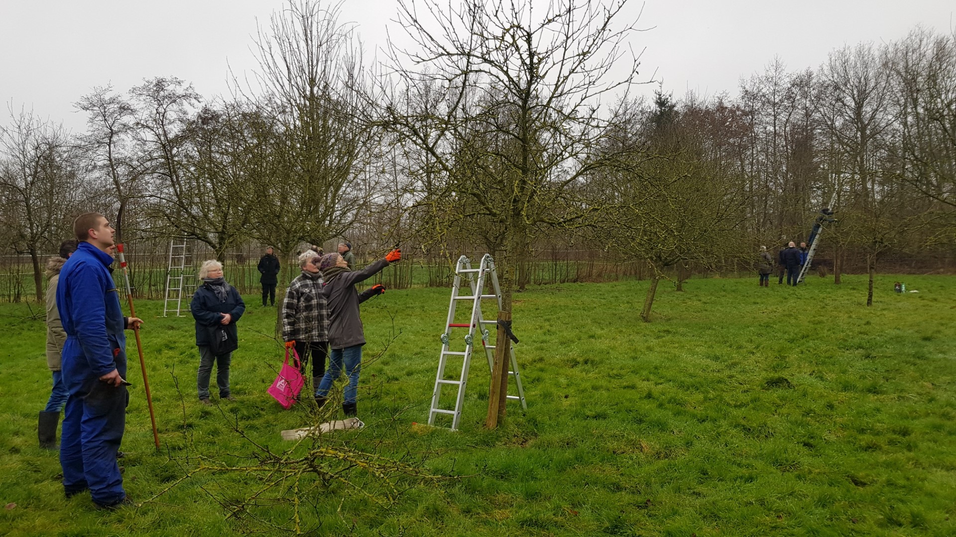 Workshop Snoeien Fruitbomen & Aanleg Boomgaard Gaat Van Start. U Kunt ...